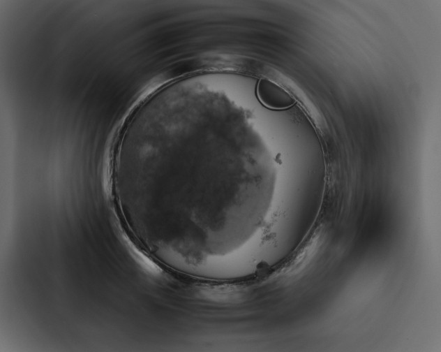 X0000088230851200705151451