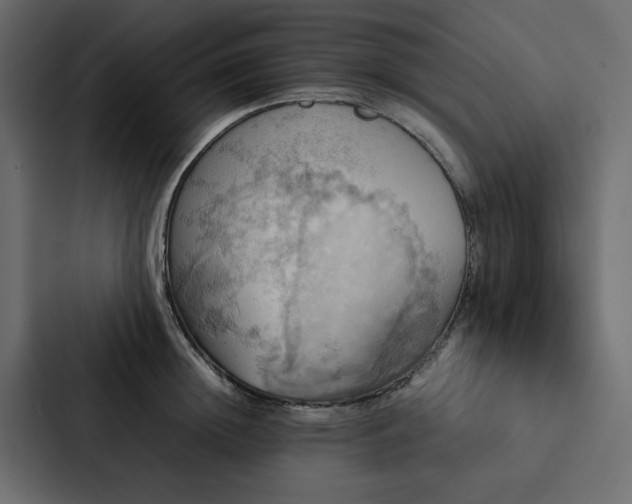 X0000088230852200705151451