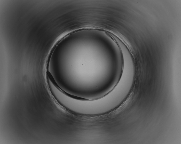 X0000088230854200705151451