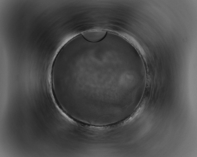 X0000088230855200705151451