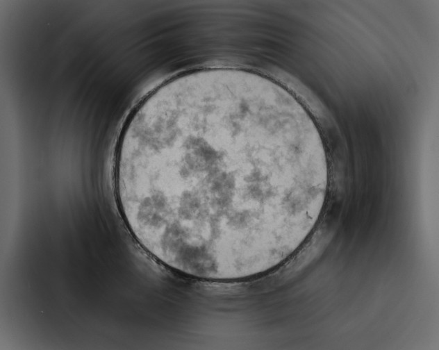 X0000088230856200705151451
