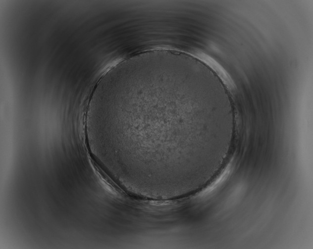 X0000088230857200705151451