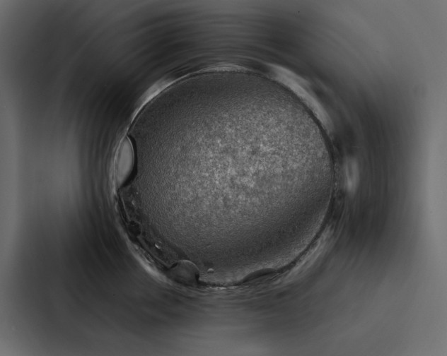 X0000088230858200705151451