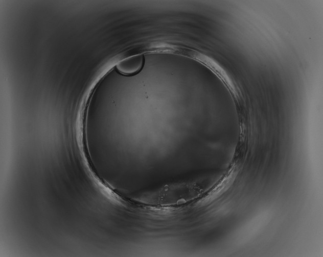 X0000088230859200705151451