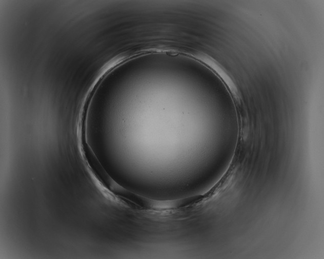 X0000088230861200705151451