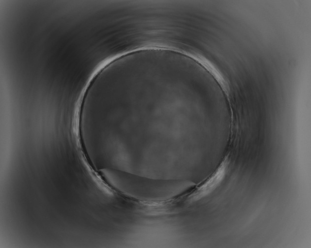 X0000088230862200705151451