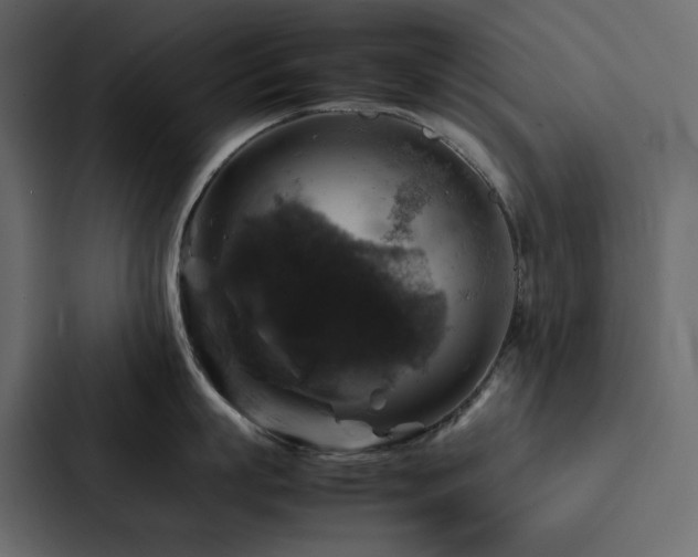 X0000088230863200705151451