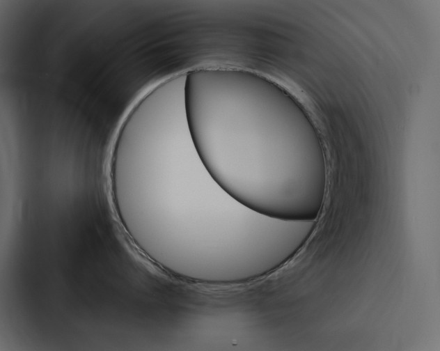 X0000088230864200705151451