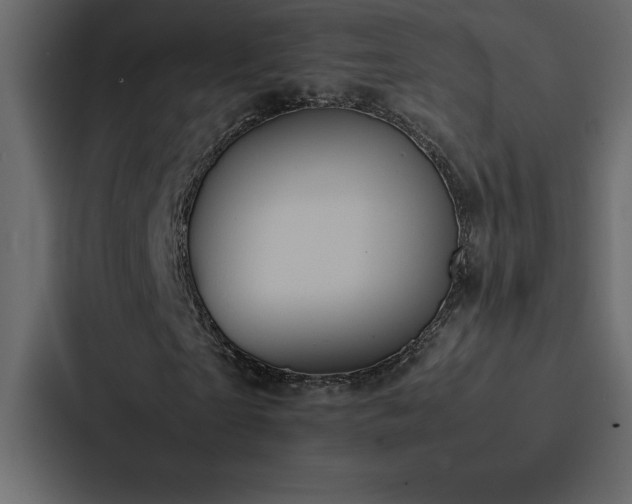 X0000088230865200705151451