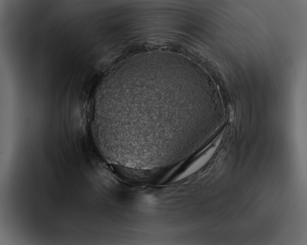 X0000088230868200705151451