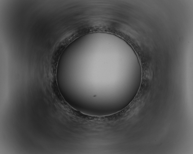 X0000088230869200705151451