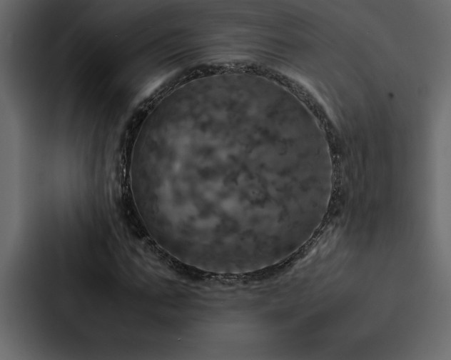 X0000088230871200705151451