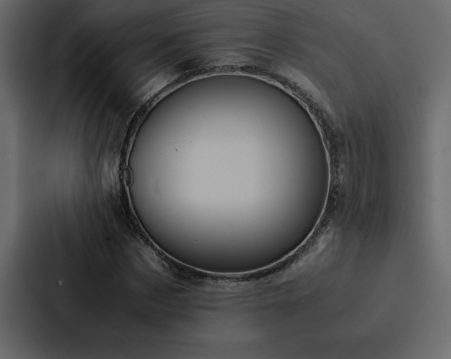 X0000088230873200705151451