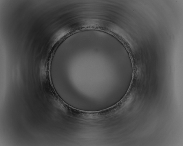 X0000088230874200705151451
