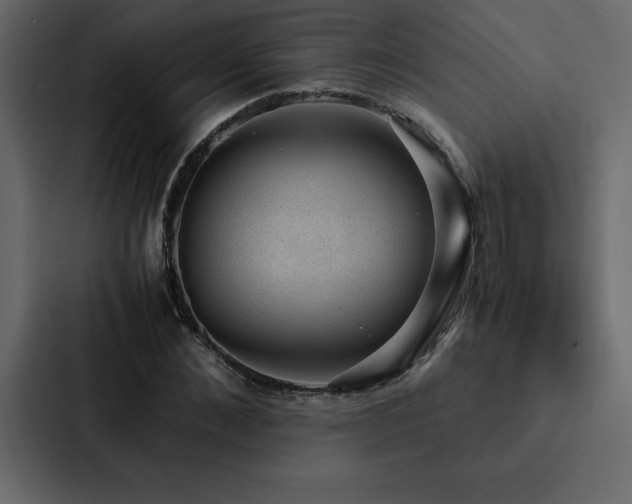 X0000088230876200705151451