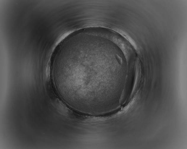 X0000088230877200705151451