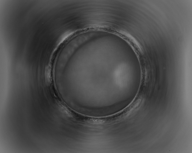 X0000088230878200705151451