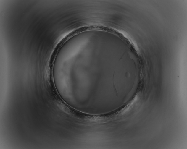 X0000088230879200705151451