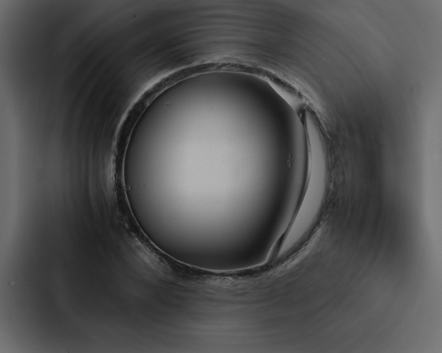 X0000088230880200705151451