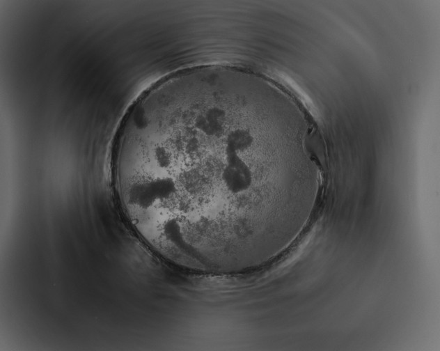 X0000088230883200705151450