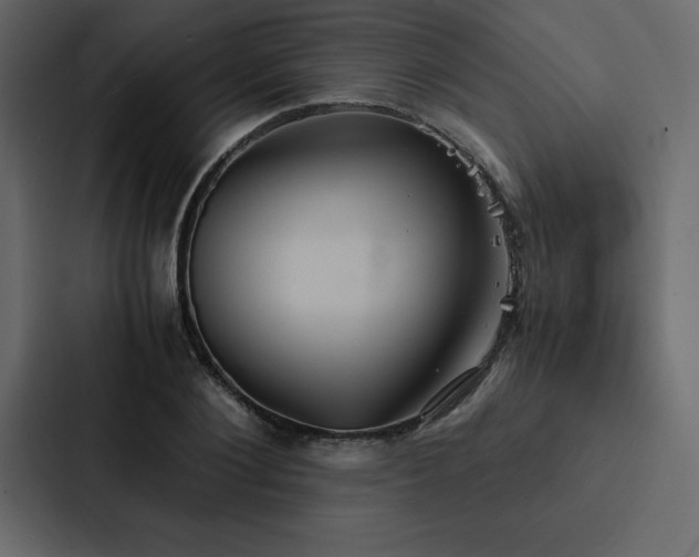 X0000088230884200705151450
