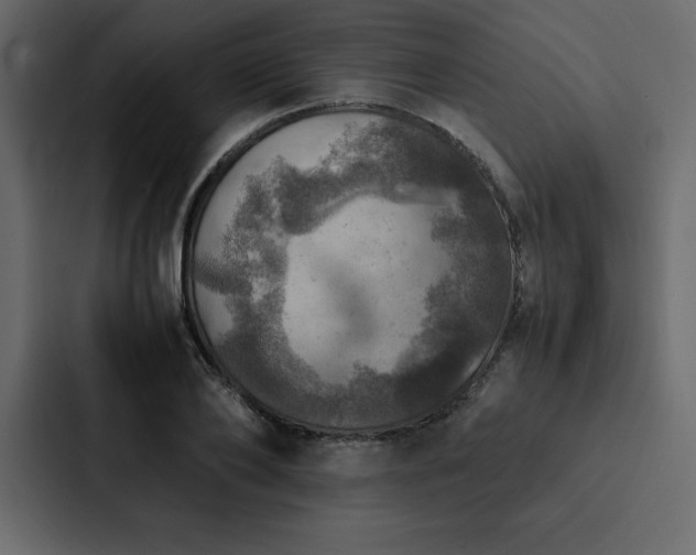 X0000088230886200705151450