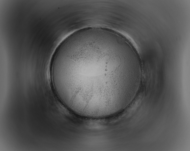X0000088230887200705151450