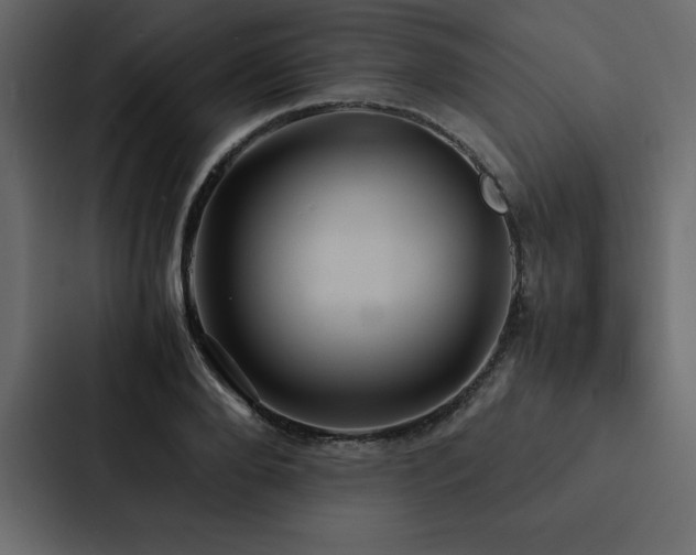 X0000088230888200705151450
