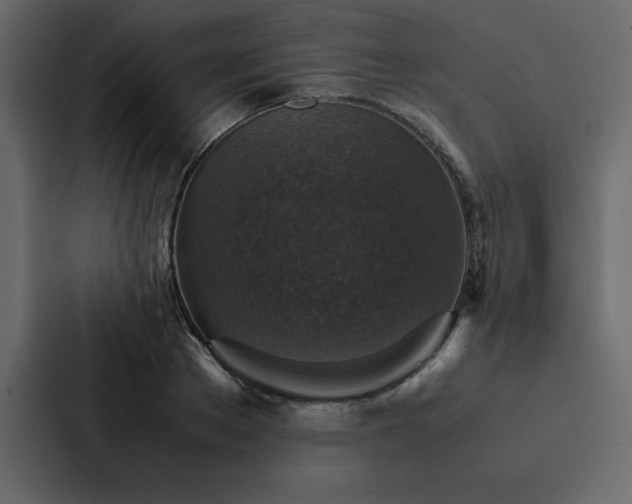 X0000088230889200705151450