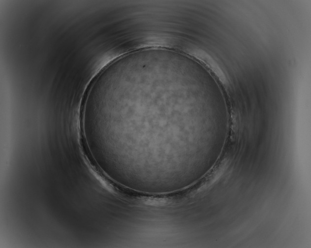 X0000088230890200705151450