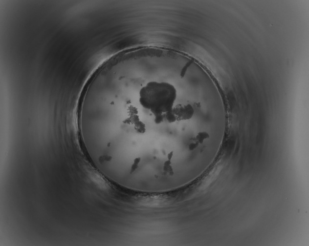 X0000088230891200705151450
