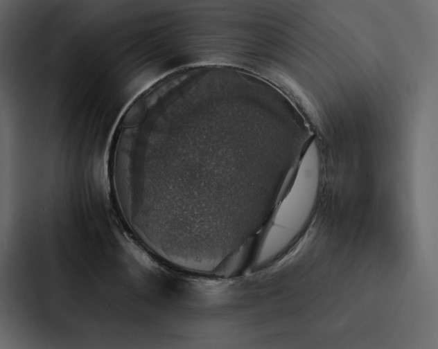 X0000088230892200705151450