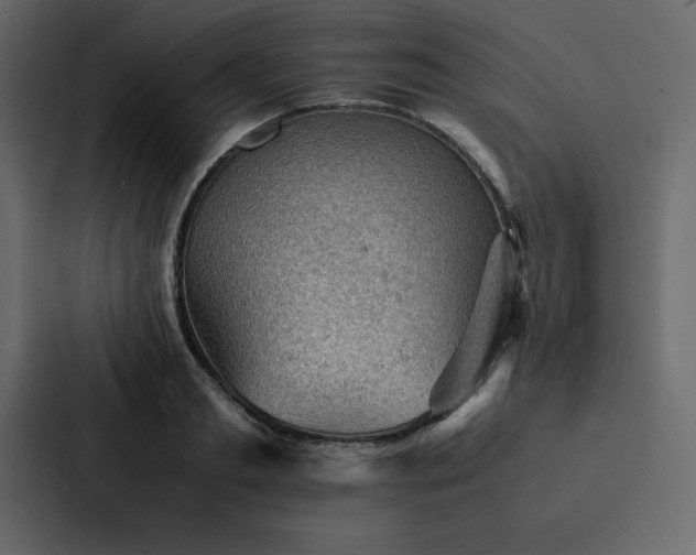 X0000088230893200705151450