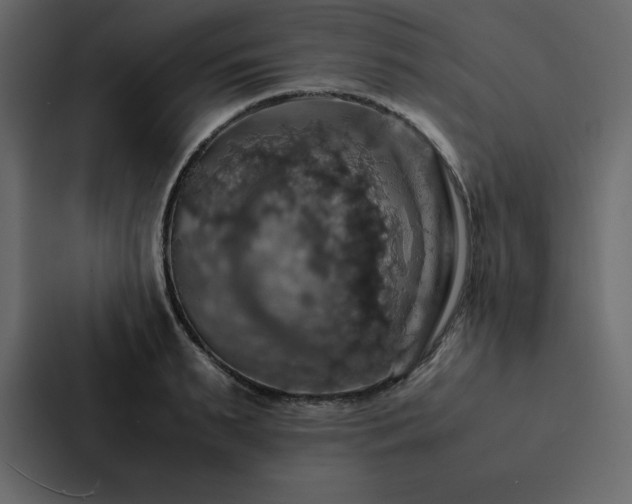 X0000088230895200705151450
