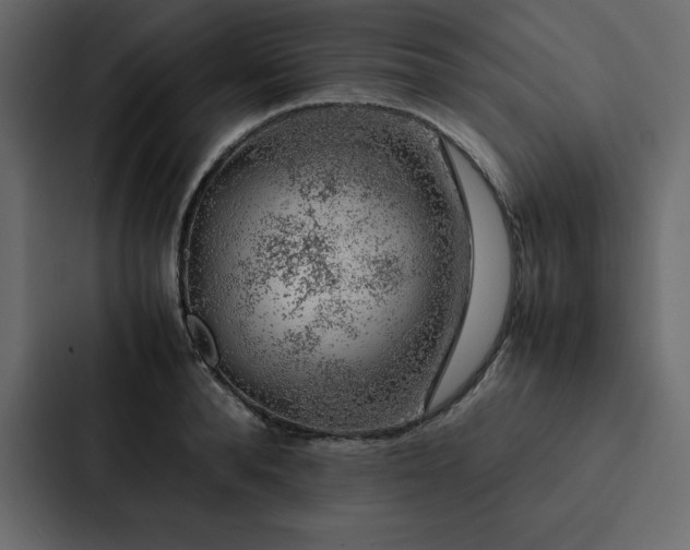 X0000088230896200705151450