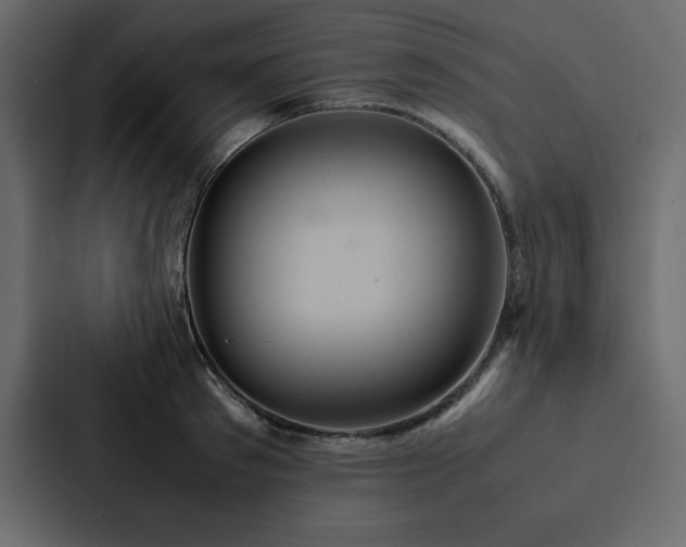 X0000088230897200705151450