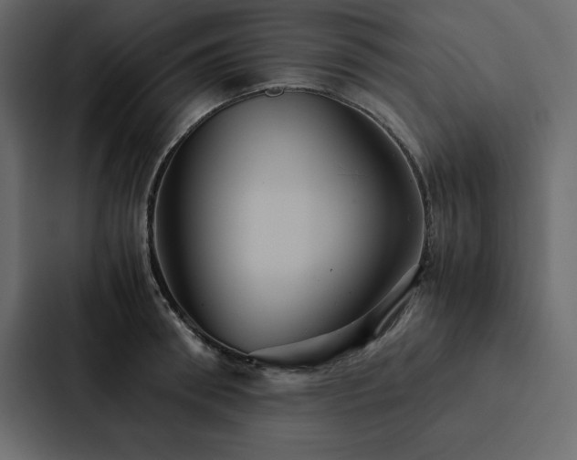 X0000088230898200705151450