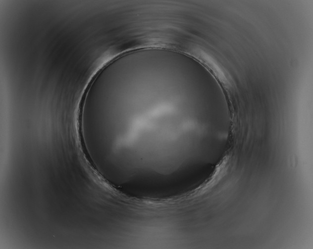 X0000088230899200705151450