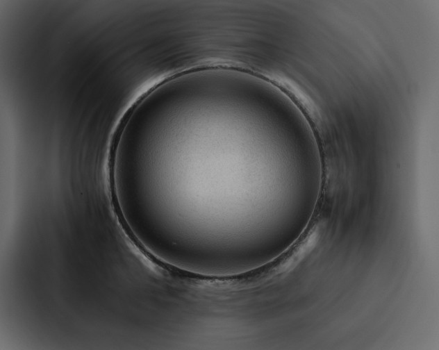 X0000088230902200705151450