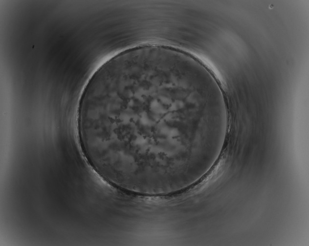 X0000088230903200705151450