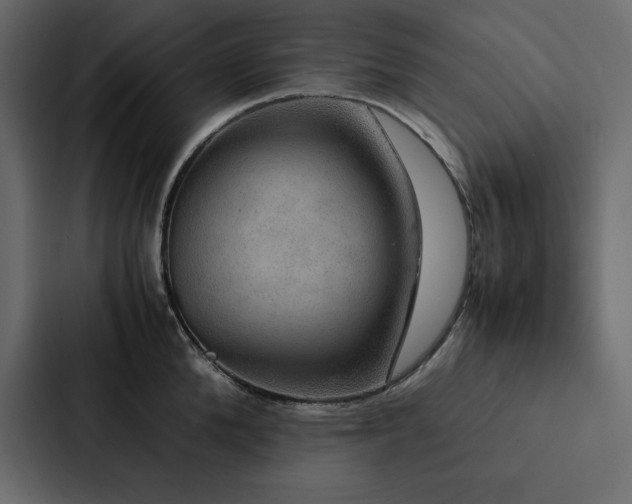 X0000088230904200705151450