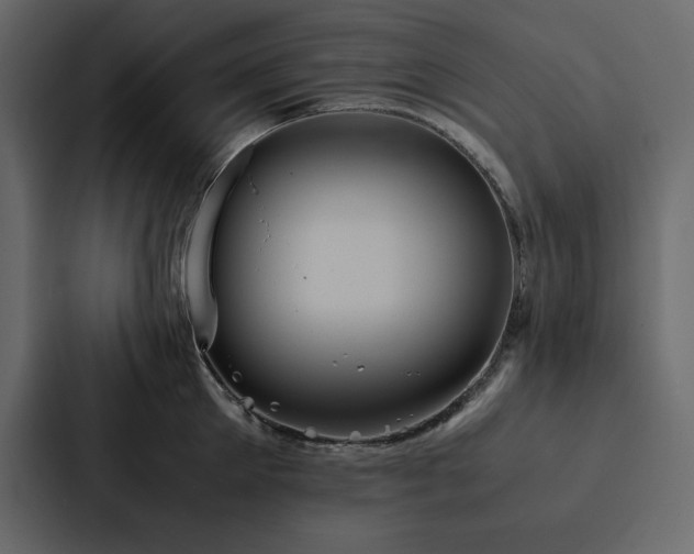 X0000088230905200705151450