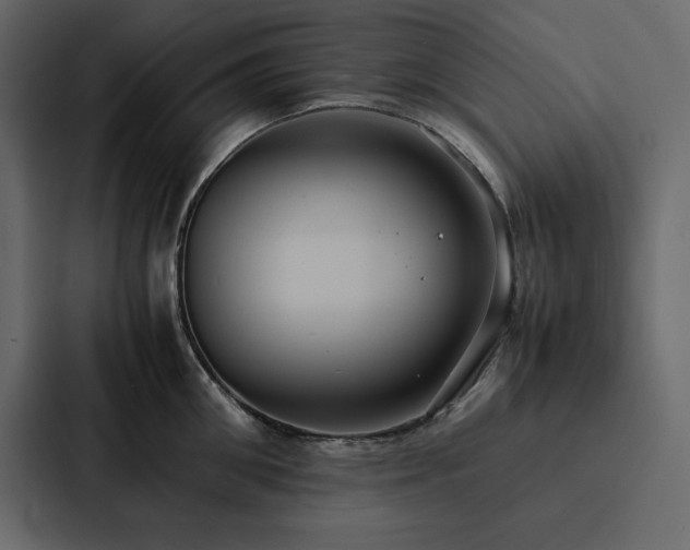 X0000088230906200705151450