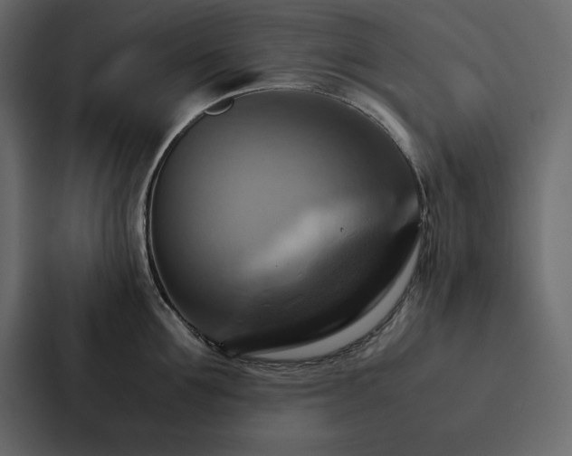 X0000088230907200705151450