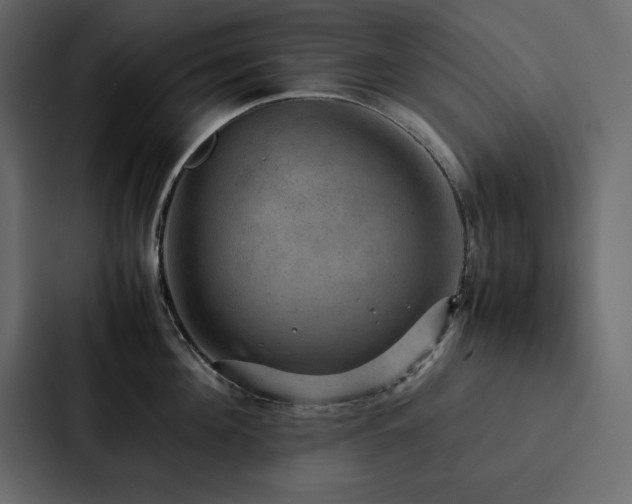 X0000088230908200705151450