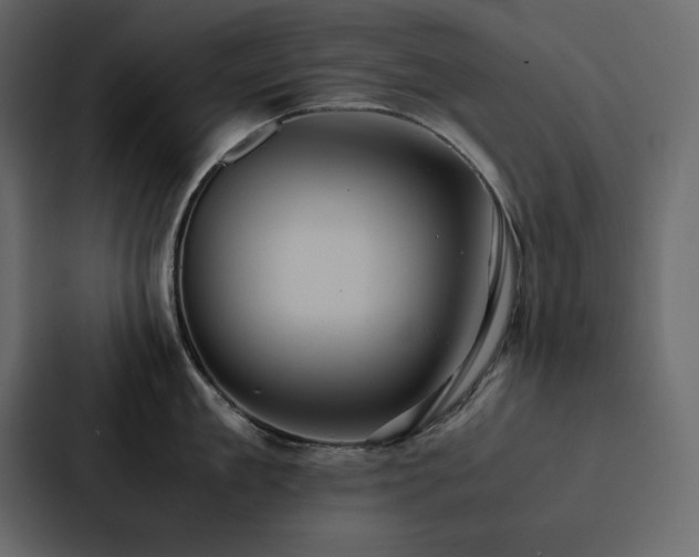 X0000088230909200705151450