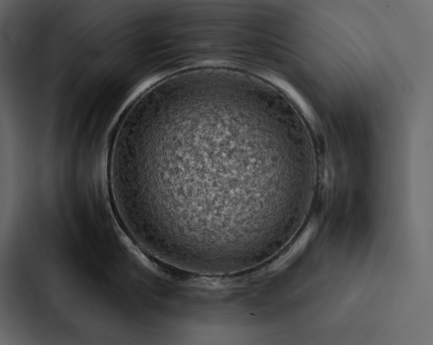 X0000088230910200705151450