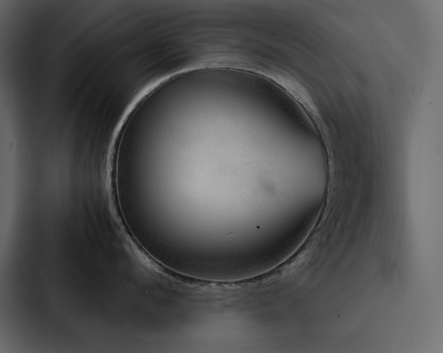 X0000088230912200705151450