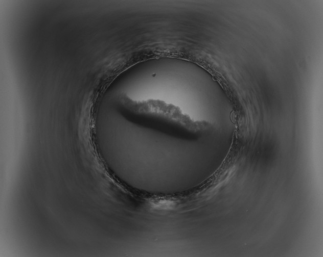 X0000088230913200705151449