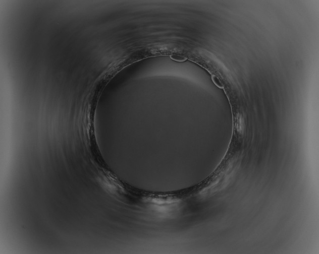 X0000088230915200705151449